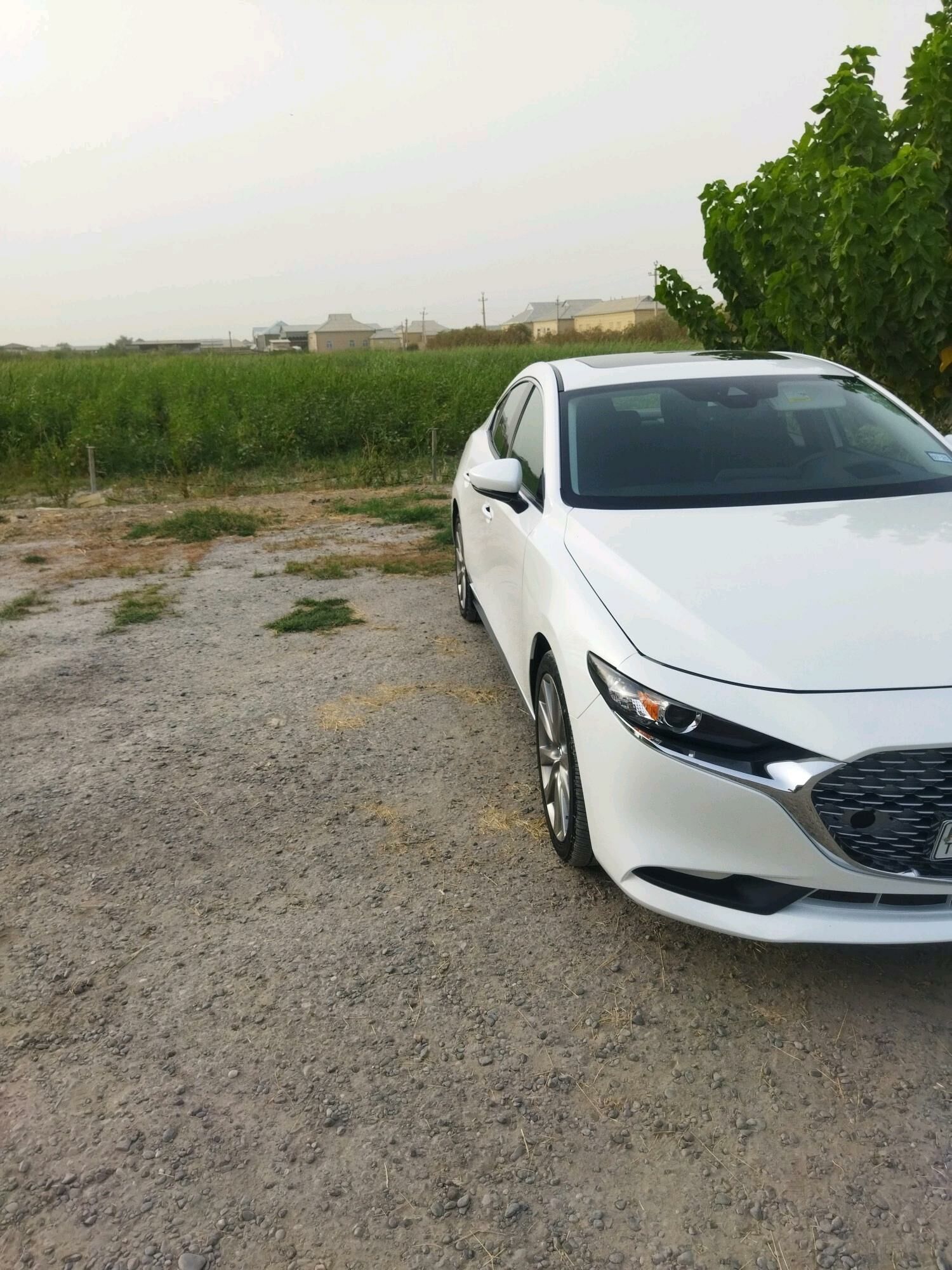 Mazda 3 2021 - 305 000 TMT - Aşgabat - img 6