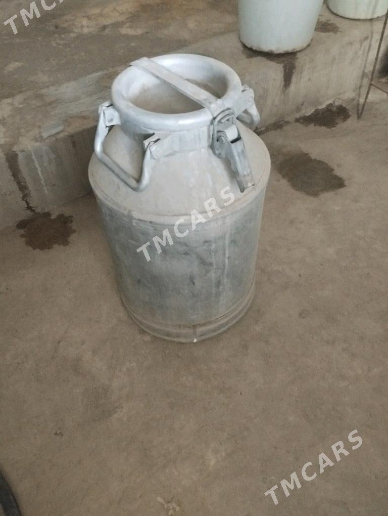 Filyaga - Balkanabat - img 2