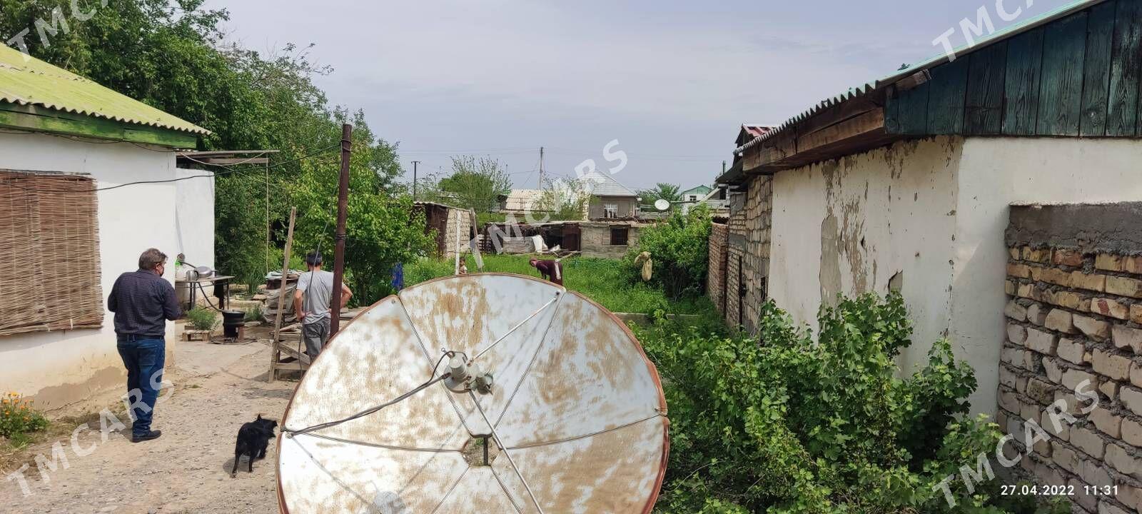 Daça - Анев - img 7
