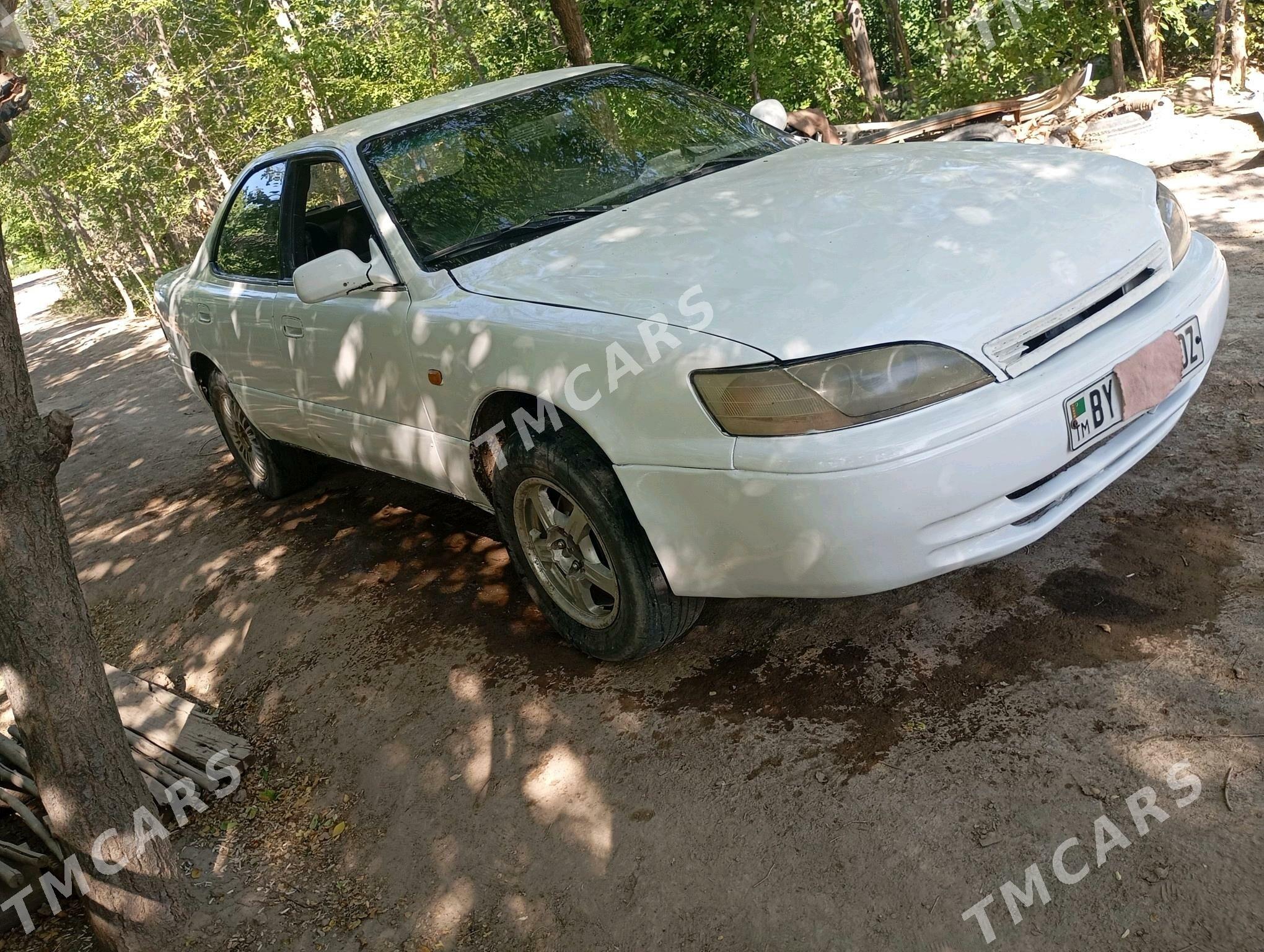 Toyota Windom 1995 - 25 000 TMT - Türkmenbaşy etr. - img 2