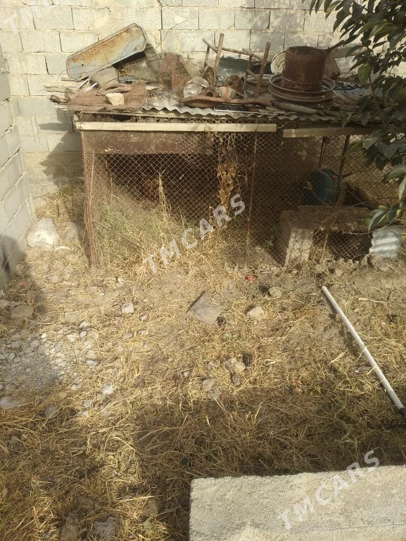 Towuk Ketek - Гёкдепе - img 2