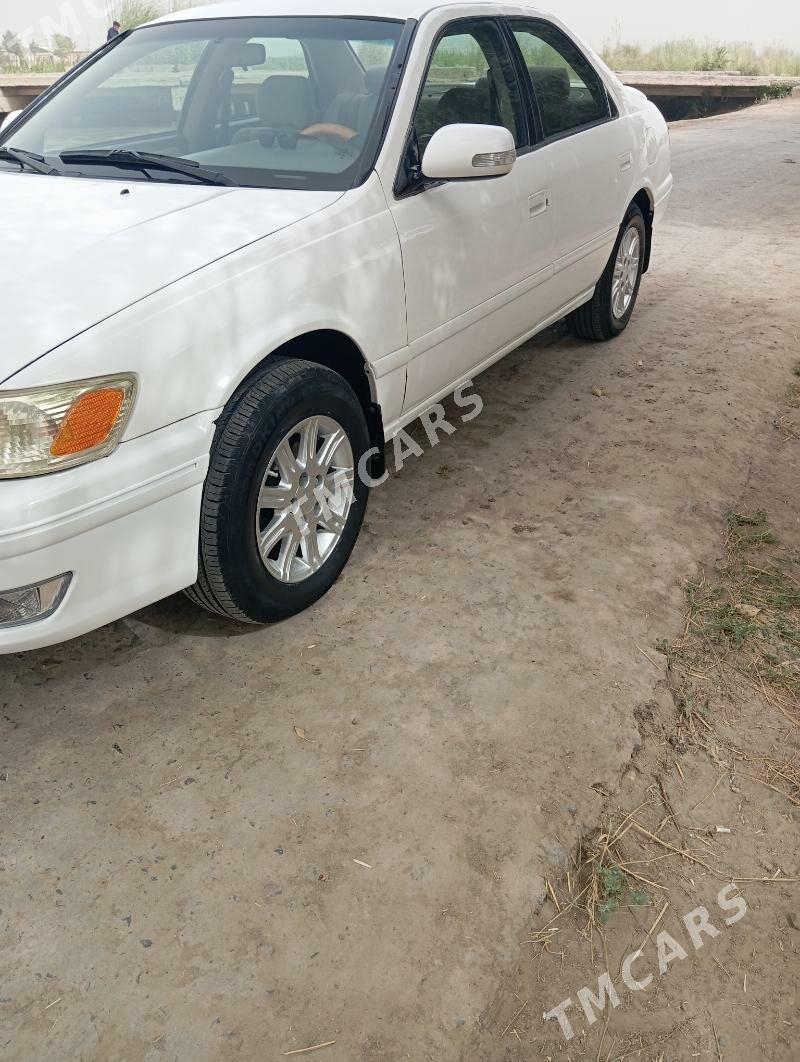 Toyota Camry 2001 - 140 000 TMT - Дянев - img 6