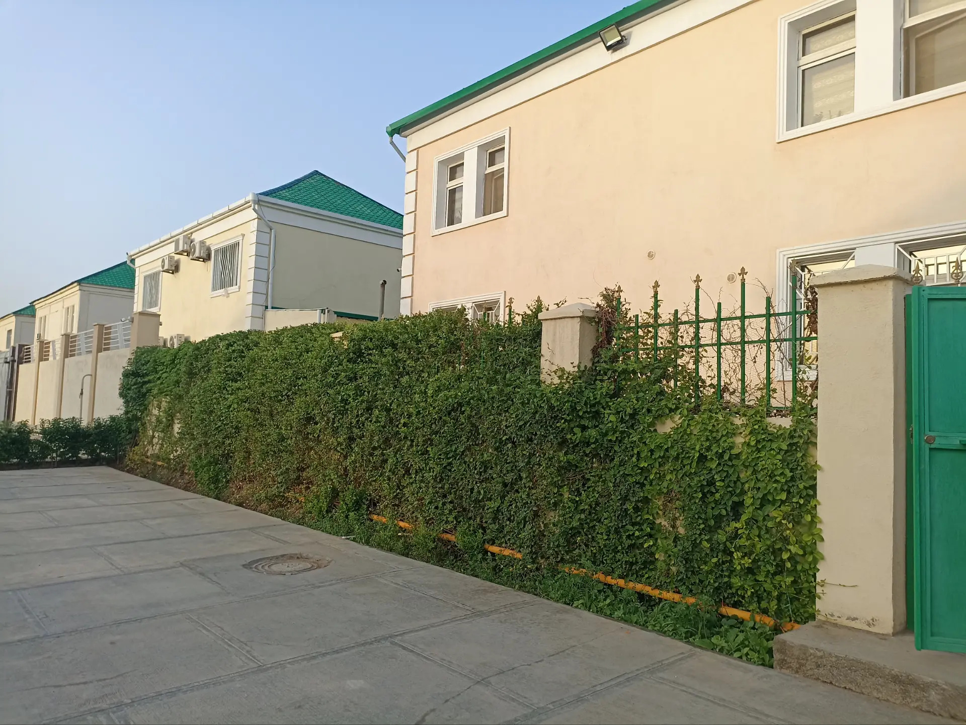 Cogonly - Aşgabat - img 2