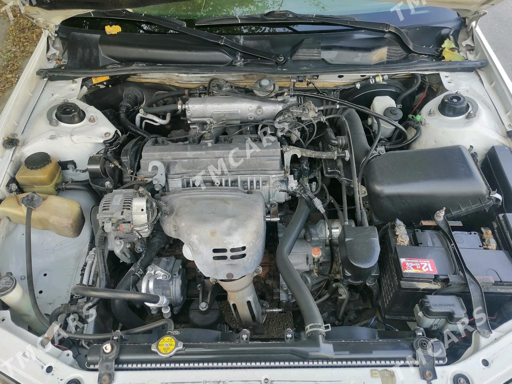 Toyota Camry 1999 - 140 000 TMT - Балканабат - img 4