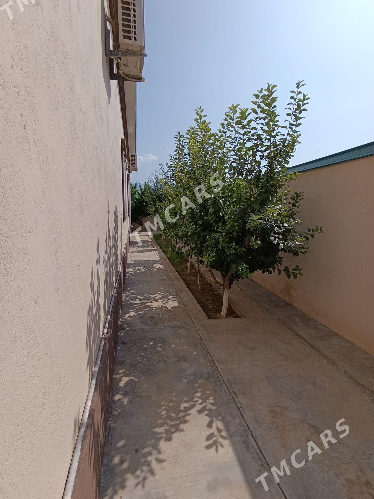 БАГИР MIREWE BAGYR 2 PLAN JAY - Bagyr - img 3