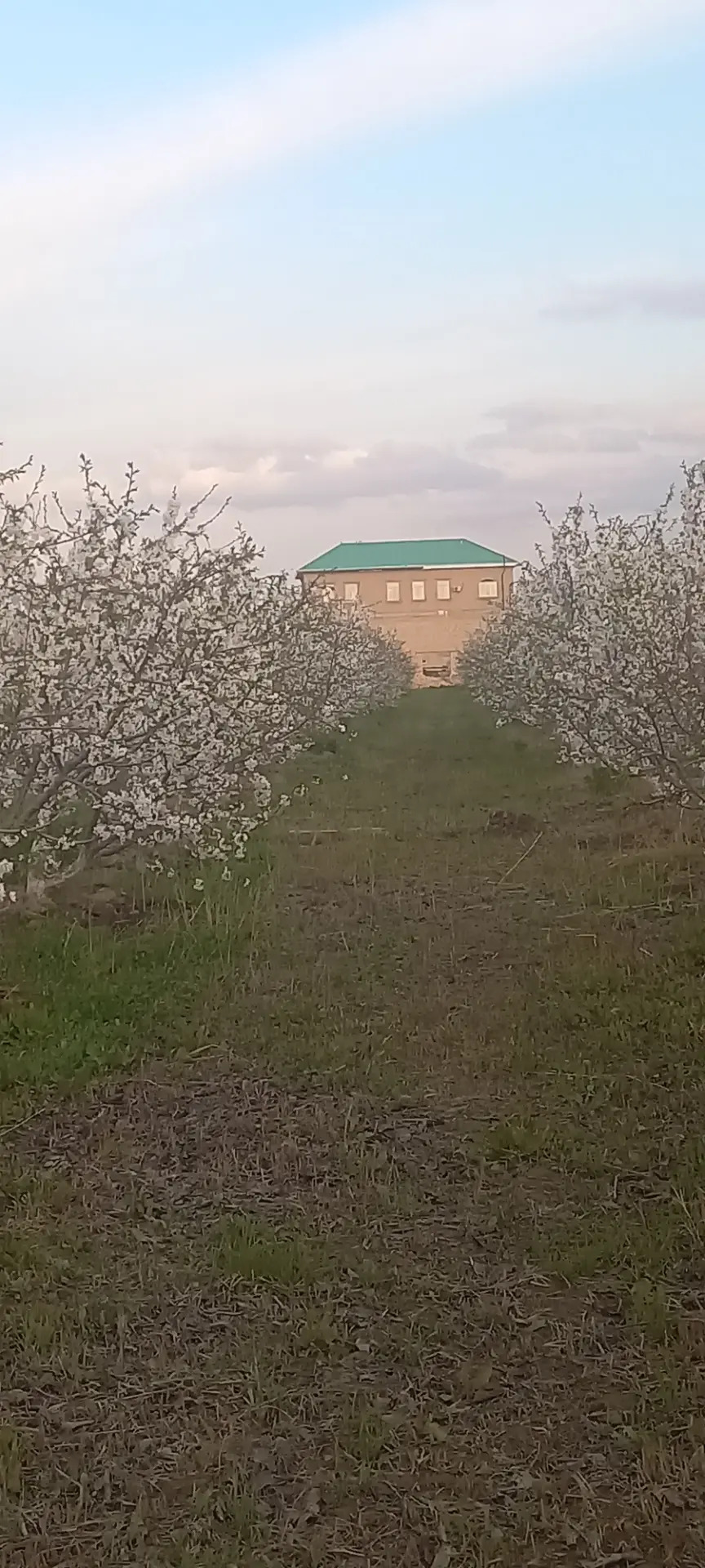 Lýuks kotedž we 1 ga bag - Sakar - img 10