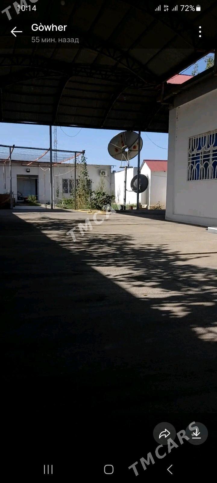 Anew Daça - Анев - img 2