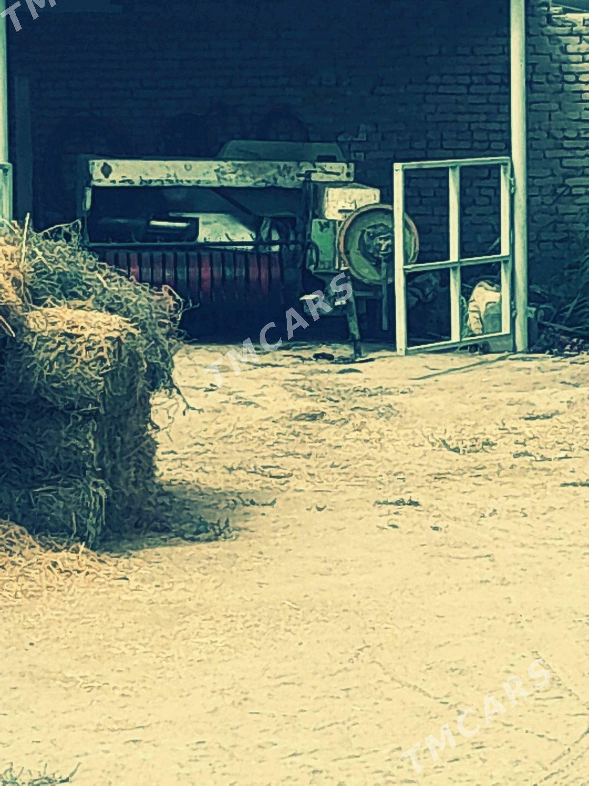 Oba hojalyk - Çärjew - img 2