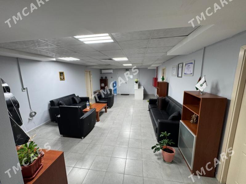 ofis - Гуртли - img 6