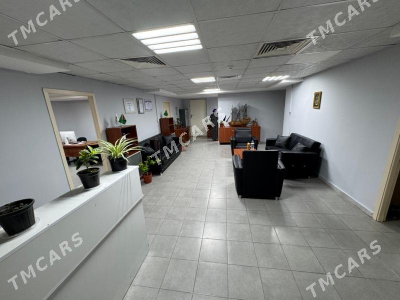 ofis - Гуртли - img 4