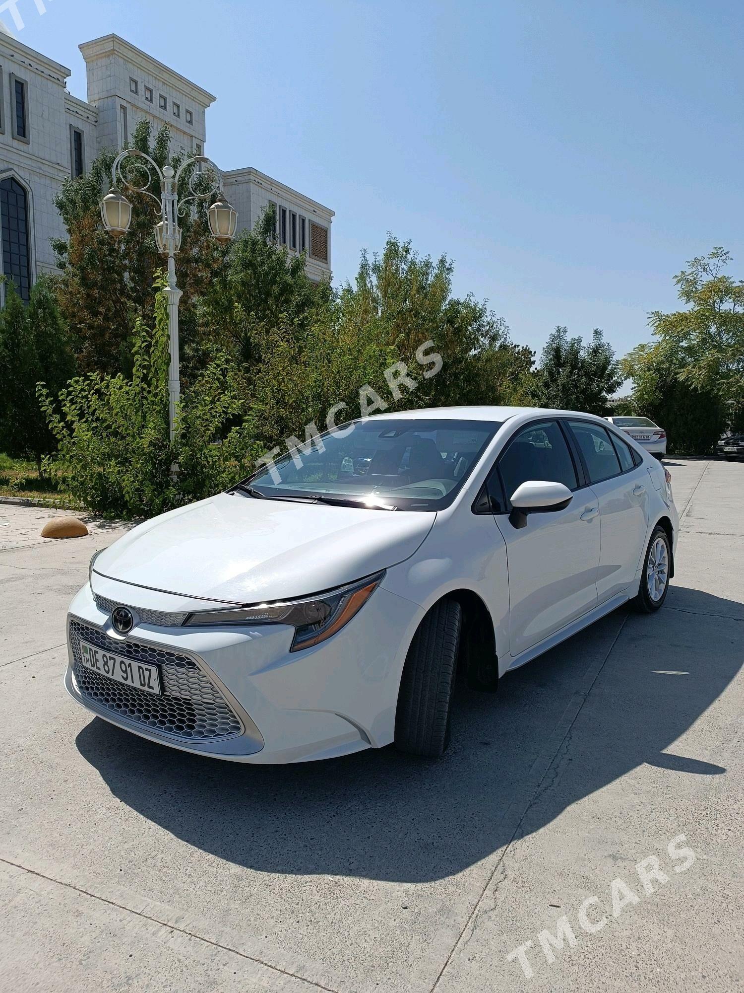 Toyota Corolla 2020 - 248 000 TMT - Daşoguz - img 2