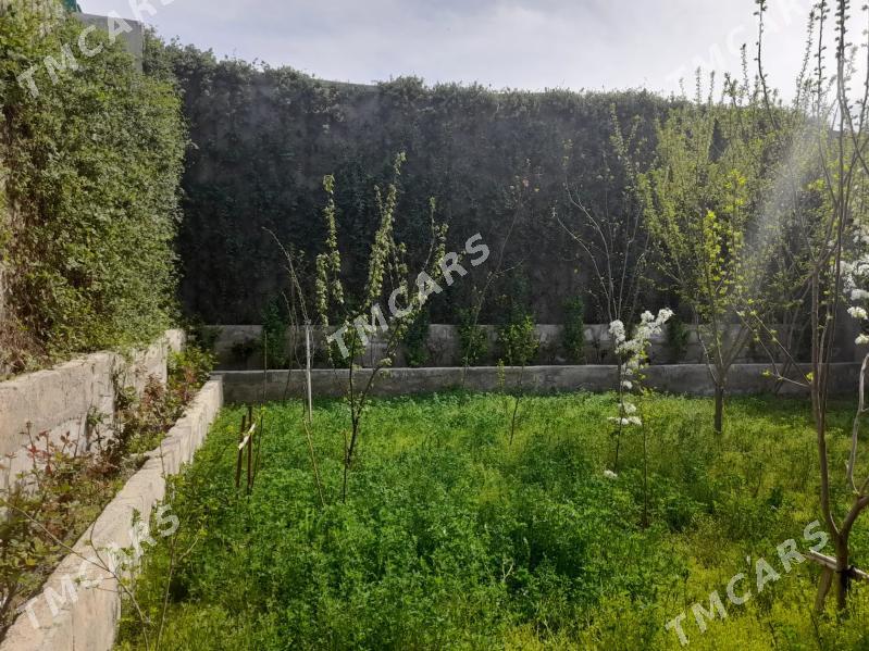 Coganly Asgawat koce 2 kom - Чоганлы - img 2