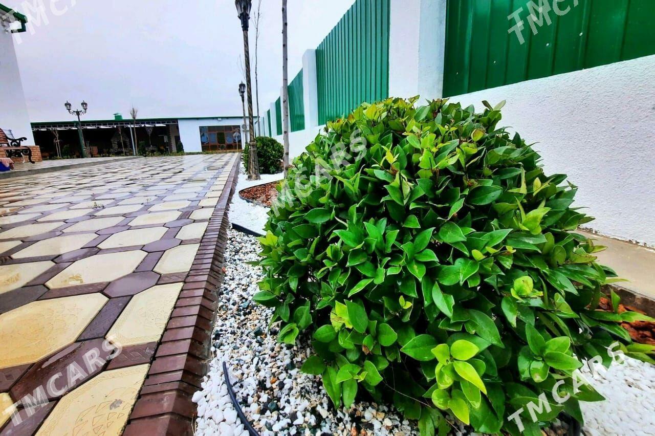 Dorozny plita/bordur - Aşgabat - img 7