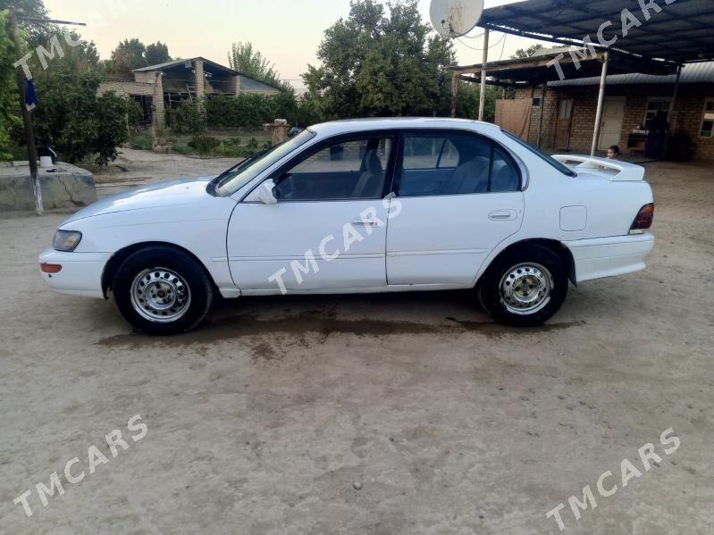 Toyota Corolla 1992 - 26 000 TMT - Туркменгала - img 2