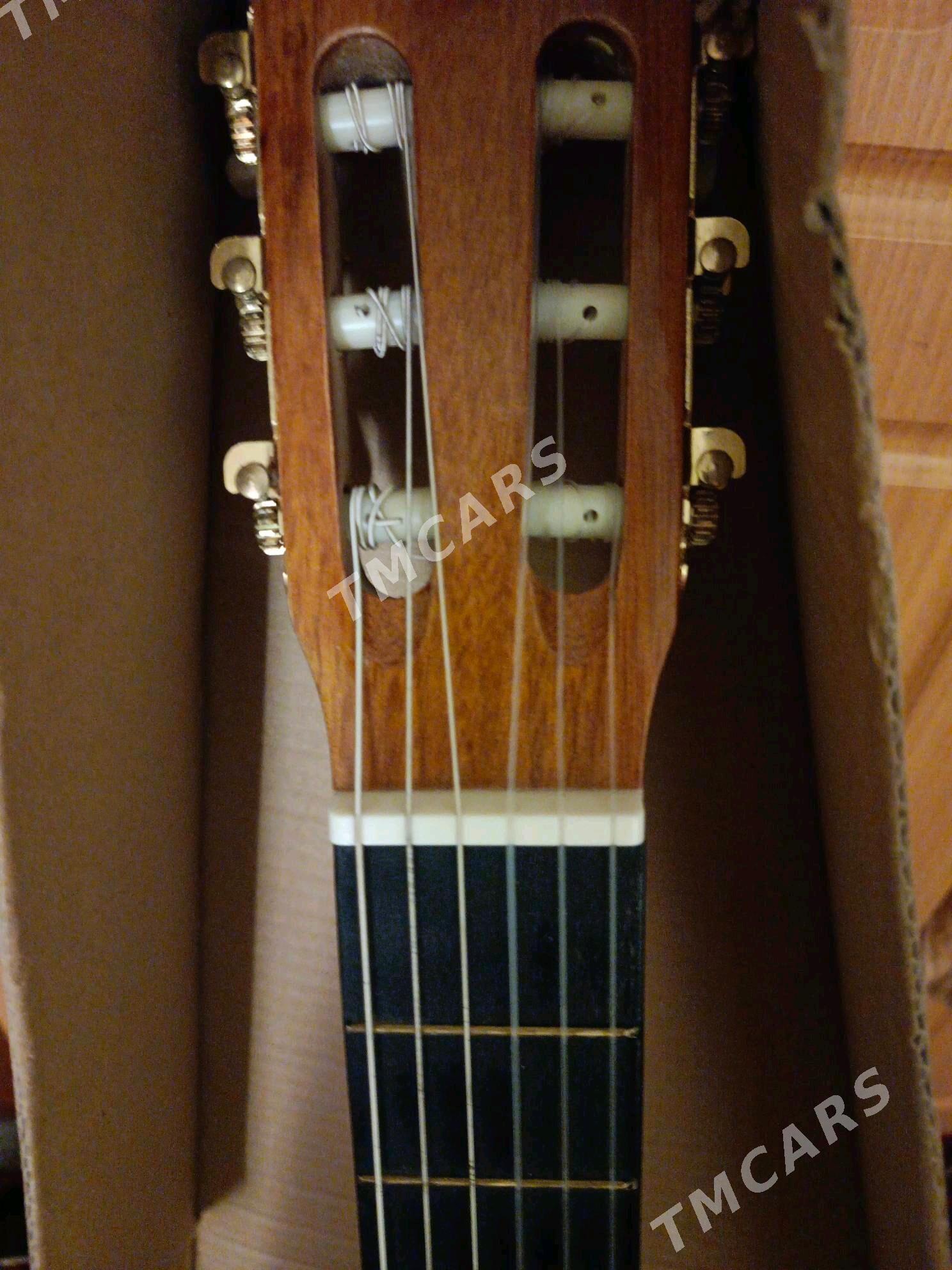 gitara - Aşgabat - img 6