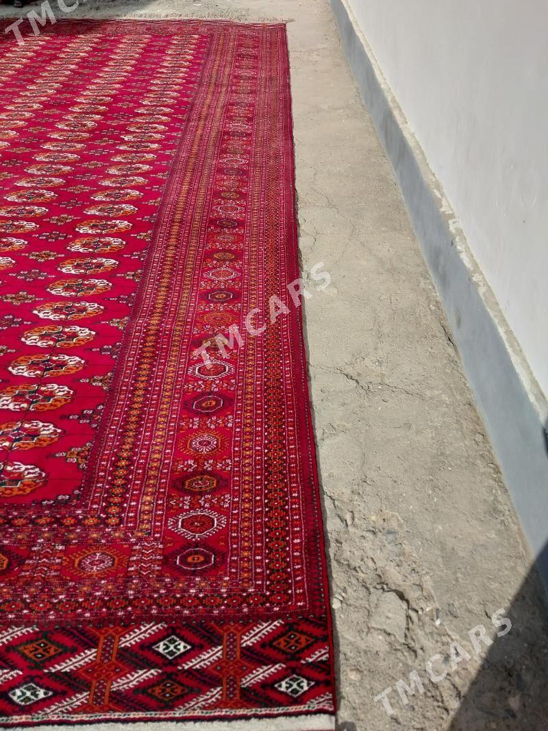 Gyzylarbat el haly - Gyzylarbat - img 3