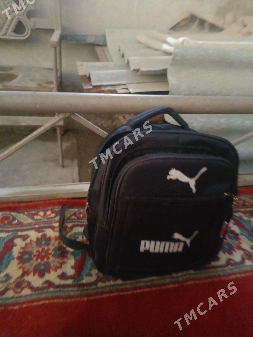 Puma papaka - Гороглы (Тагта) - img 2