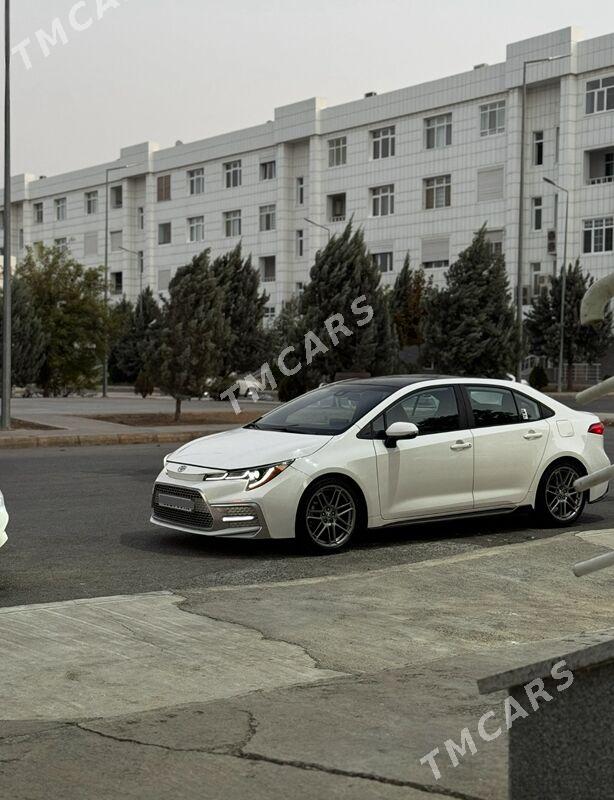Toyota Corolla 2020 - 265 000 TMT - Ашхабад - img 3