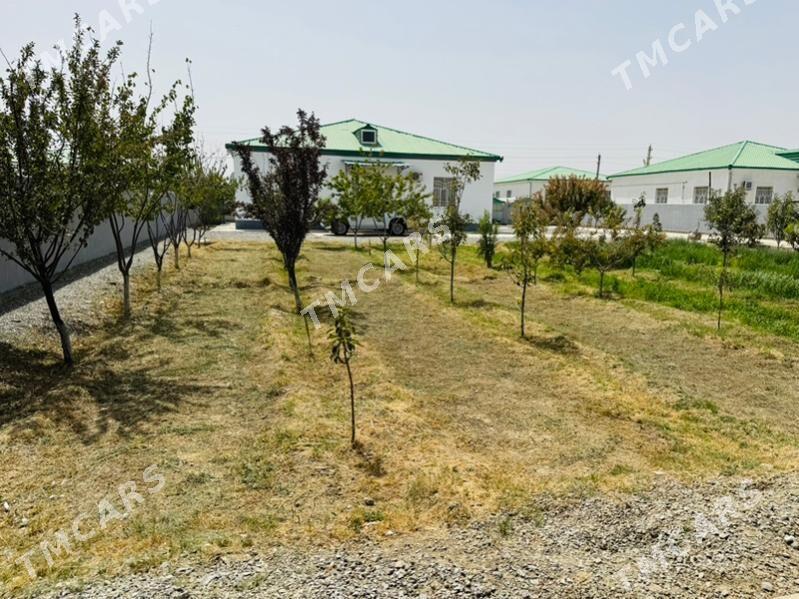 Gökdepe Şorgala plan jaý - Gökdepe - img 10