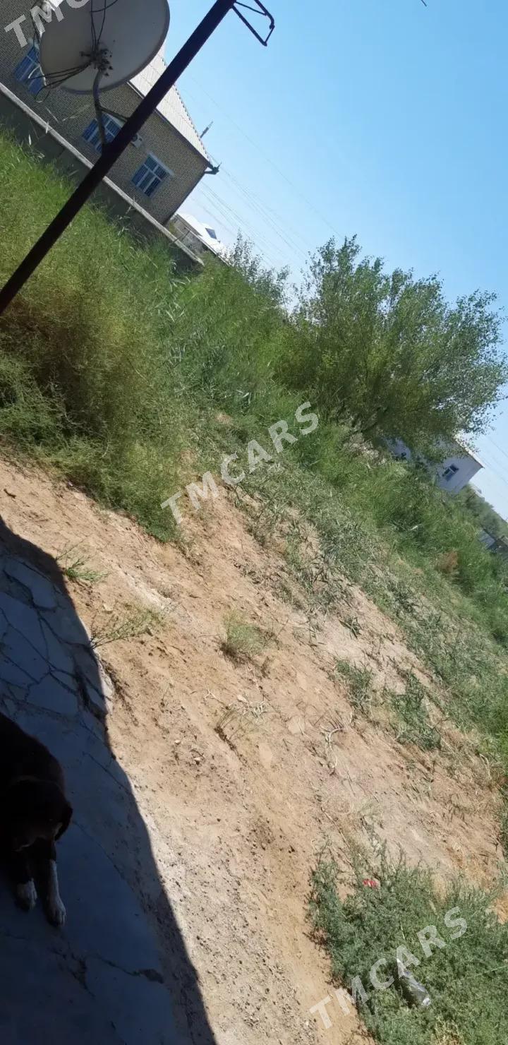Satlyk jaý - Baýramaly - img 2