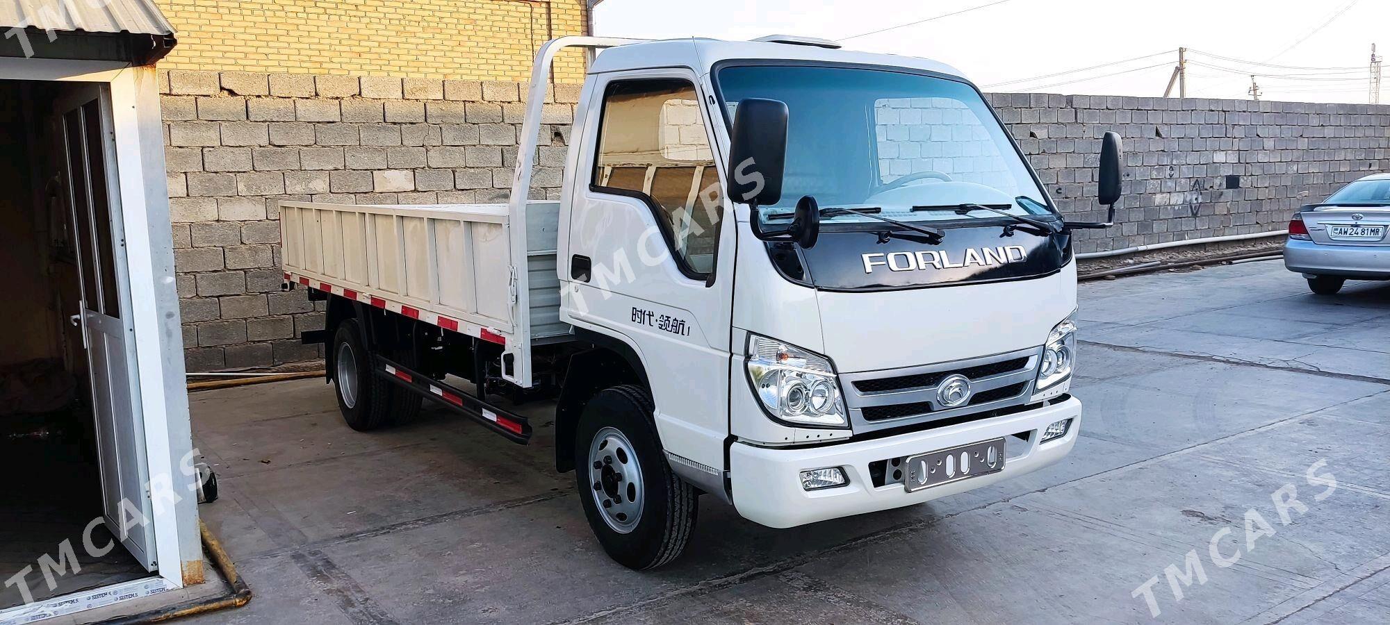 Forland H2 2015 - 110 000 TMT - Мары - img 2