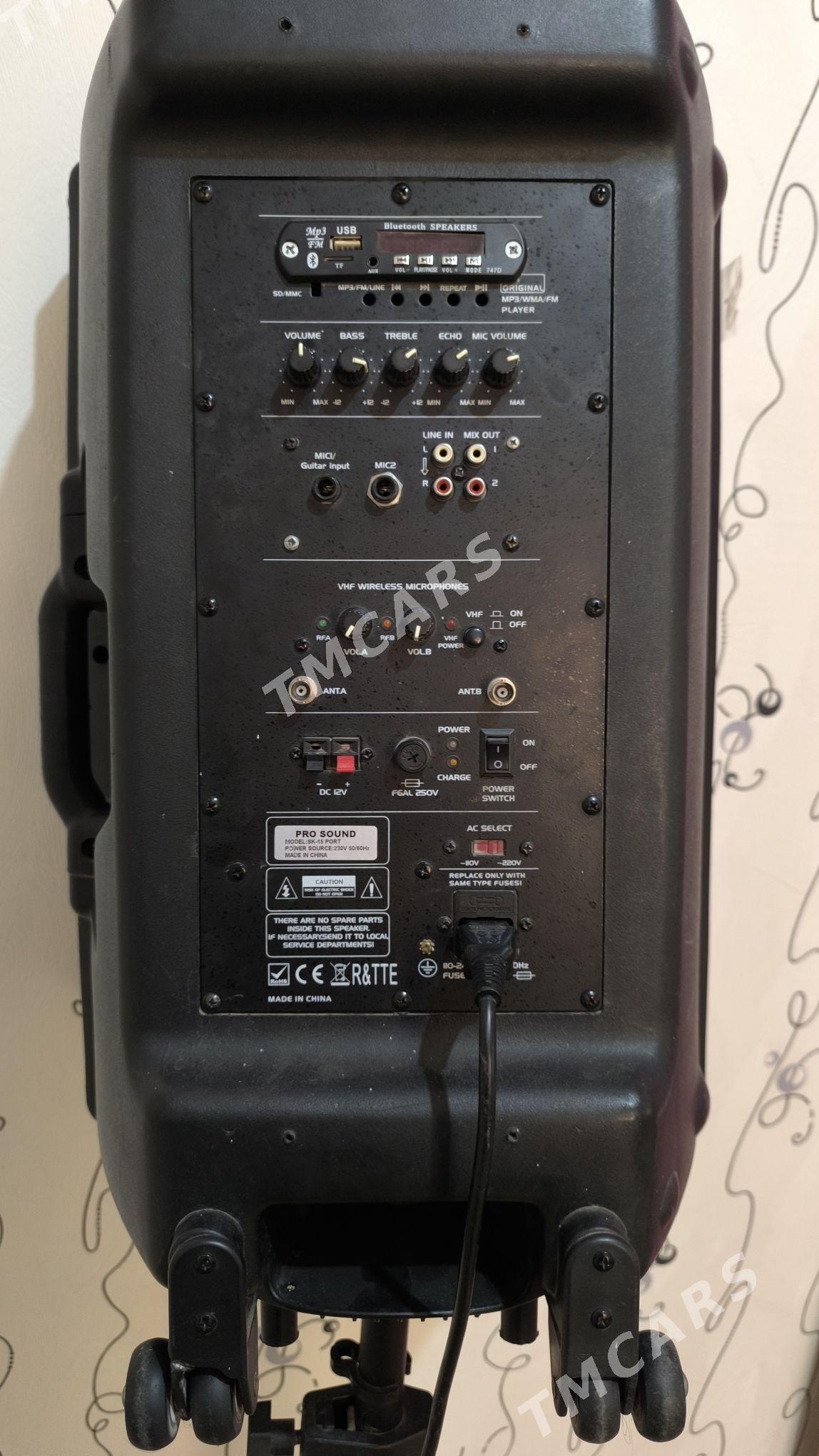 toy kolonka 100watt - Türkmenabat - img 2