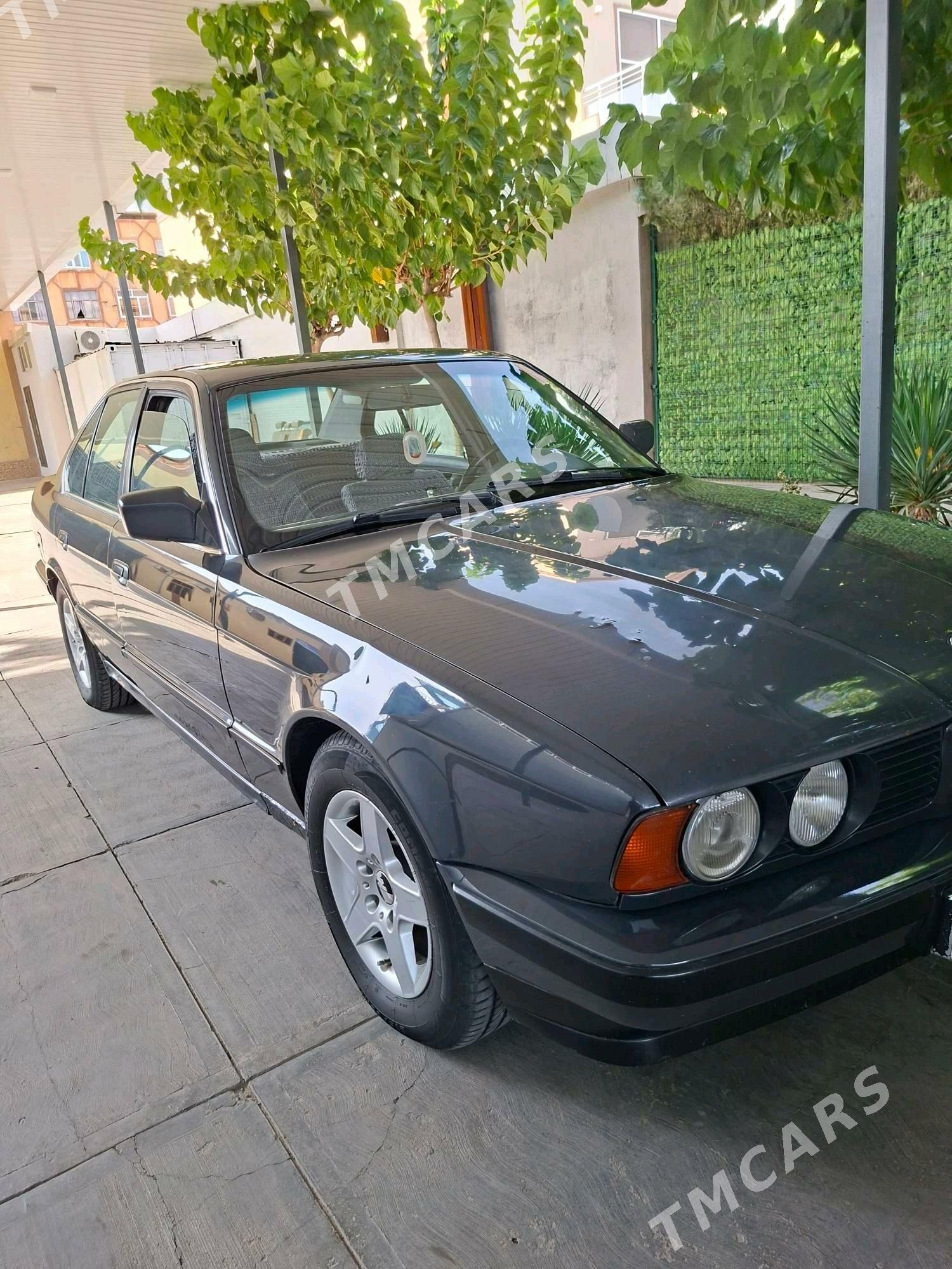 BMW 525 1992 - 66 000 TMT - Mary - img 7