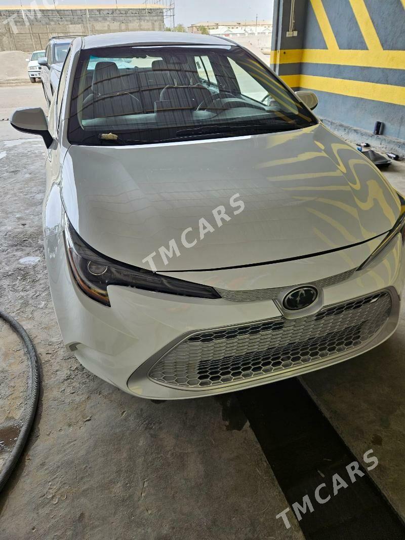 Toyota Corolla 2020 - 235 000 TMT - Мары - img 3
