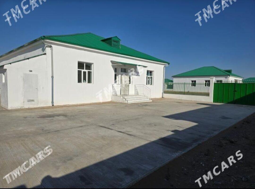 korcay, onaldy, körçay - Ak bugdaý etraby - img 1