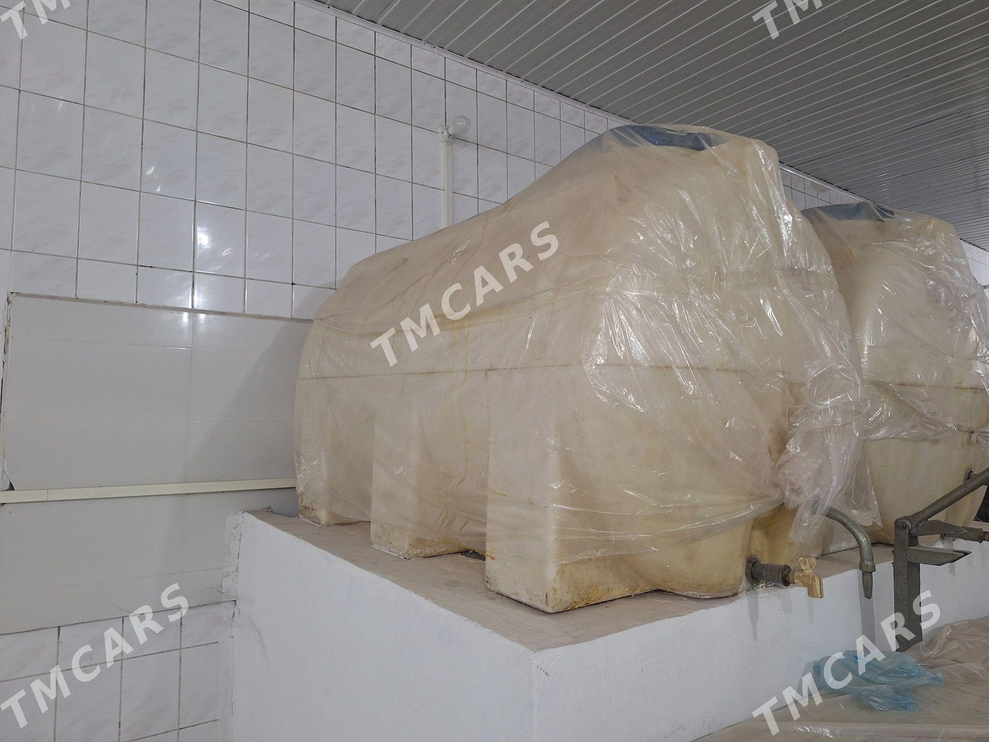 Bocka 2 ton plastmas - Mary - img 2