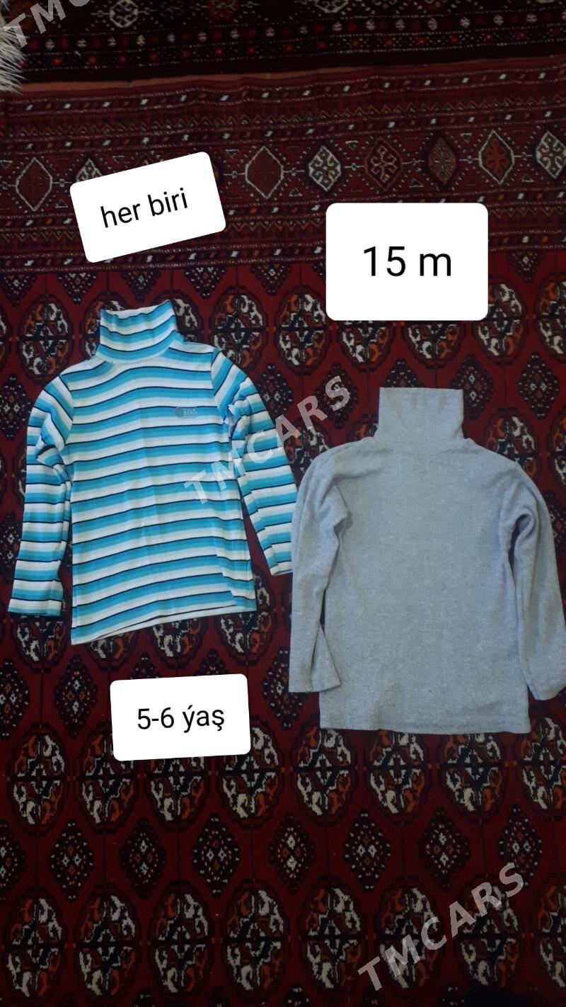çaga egin-eşikleri - Daşoguz - img 2