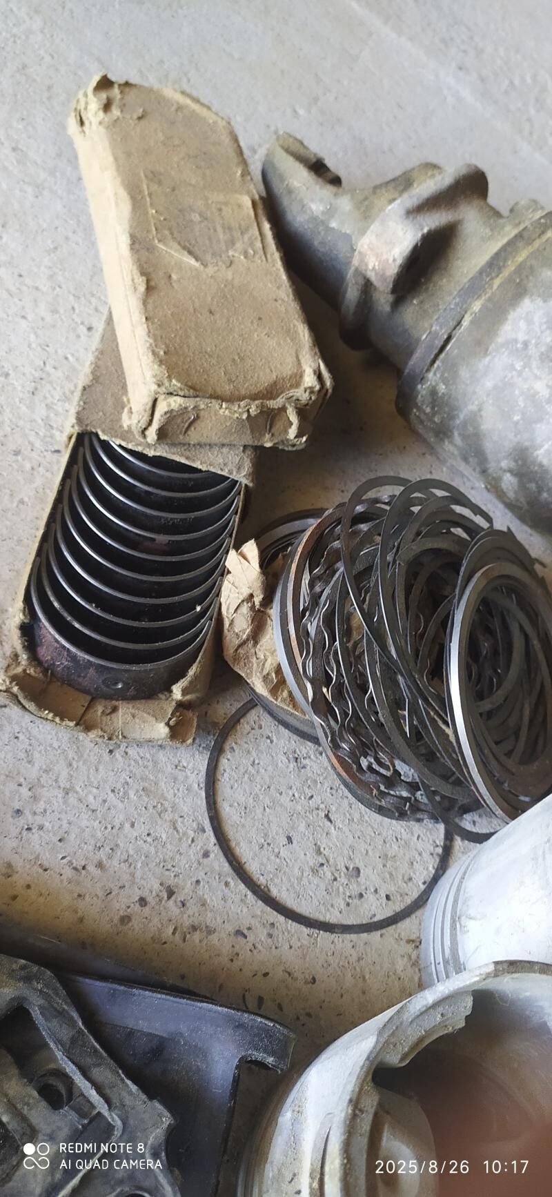 Stater polşen gladyş 53 700 TMT - Кака - img 2