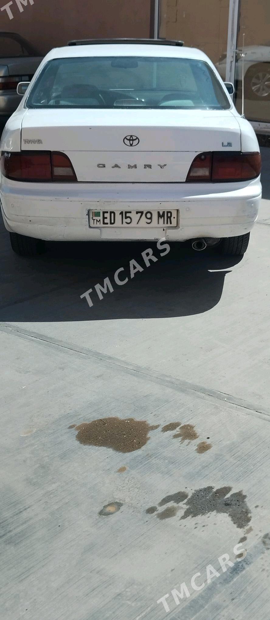 Toyota Camry 1995 - 60 000 TMT - Mary - img 4