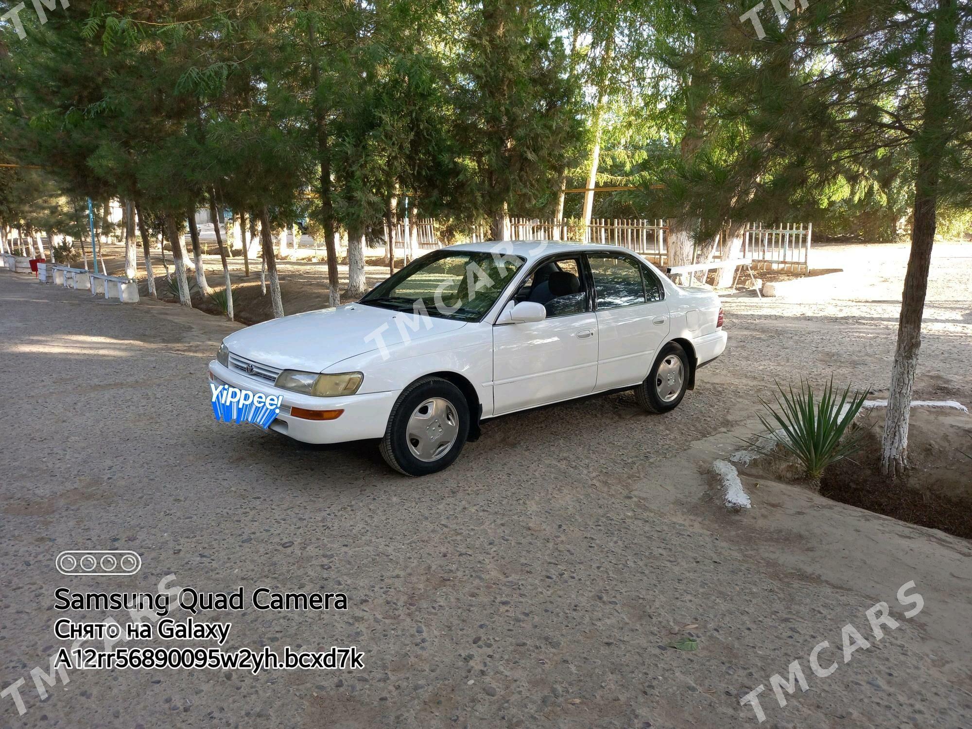 Toyota Corolla 1995 - 45 000 TMT - Мургап - img 5