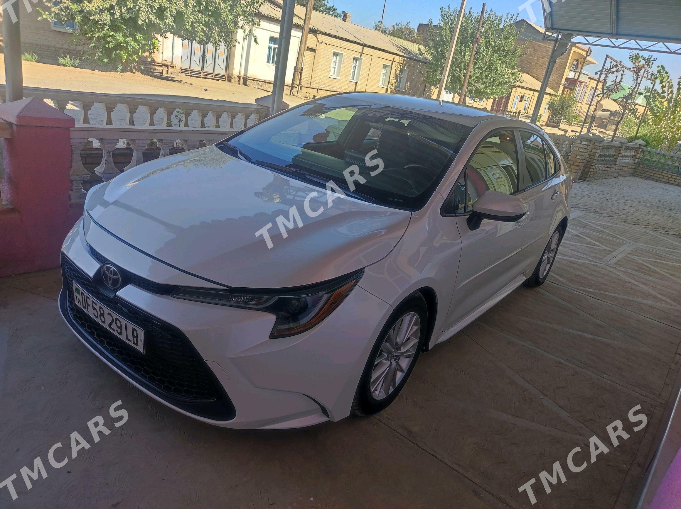 Toyota Corolla 2021 - 220 000 TMT - Kerki - img 10