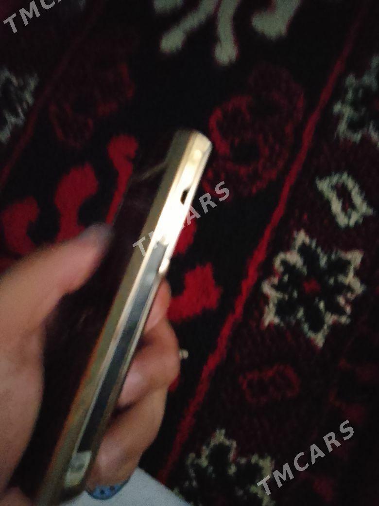 vertu - Sakarçäge - img 3