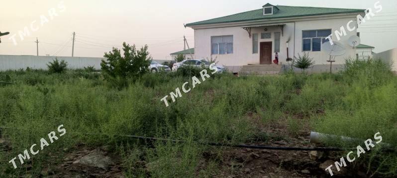 Sorgala - Гёкдепе - img 3