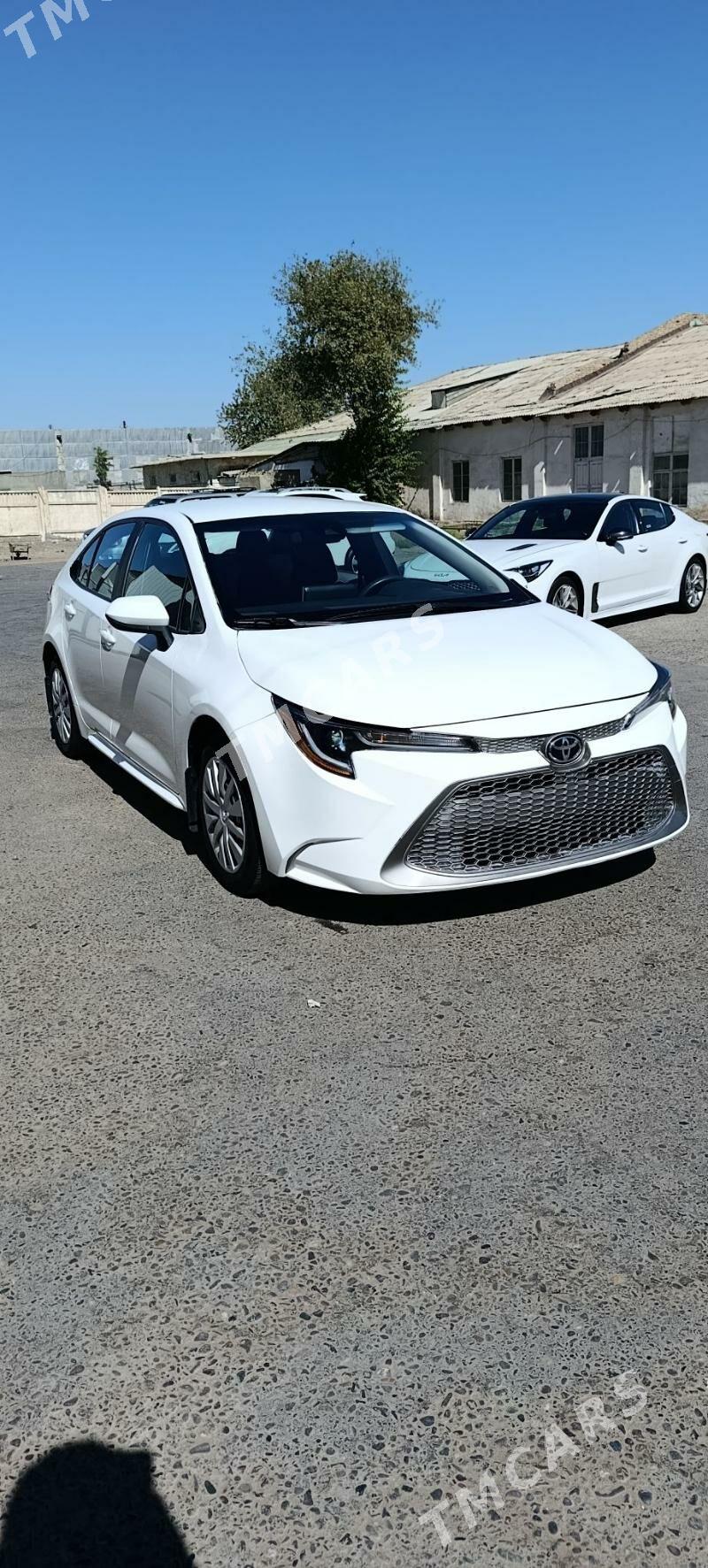 Toyota Corolla 2020 - 230 000 TMT - Мары - img 4