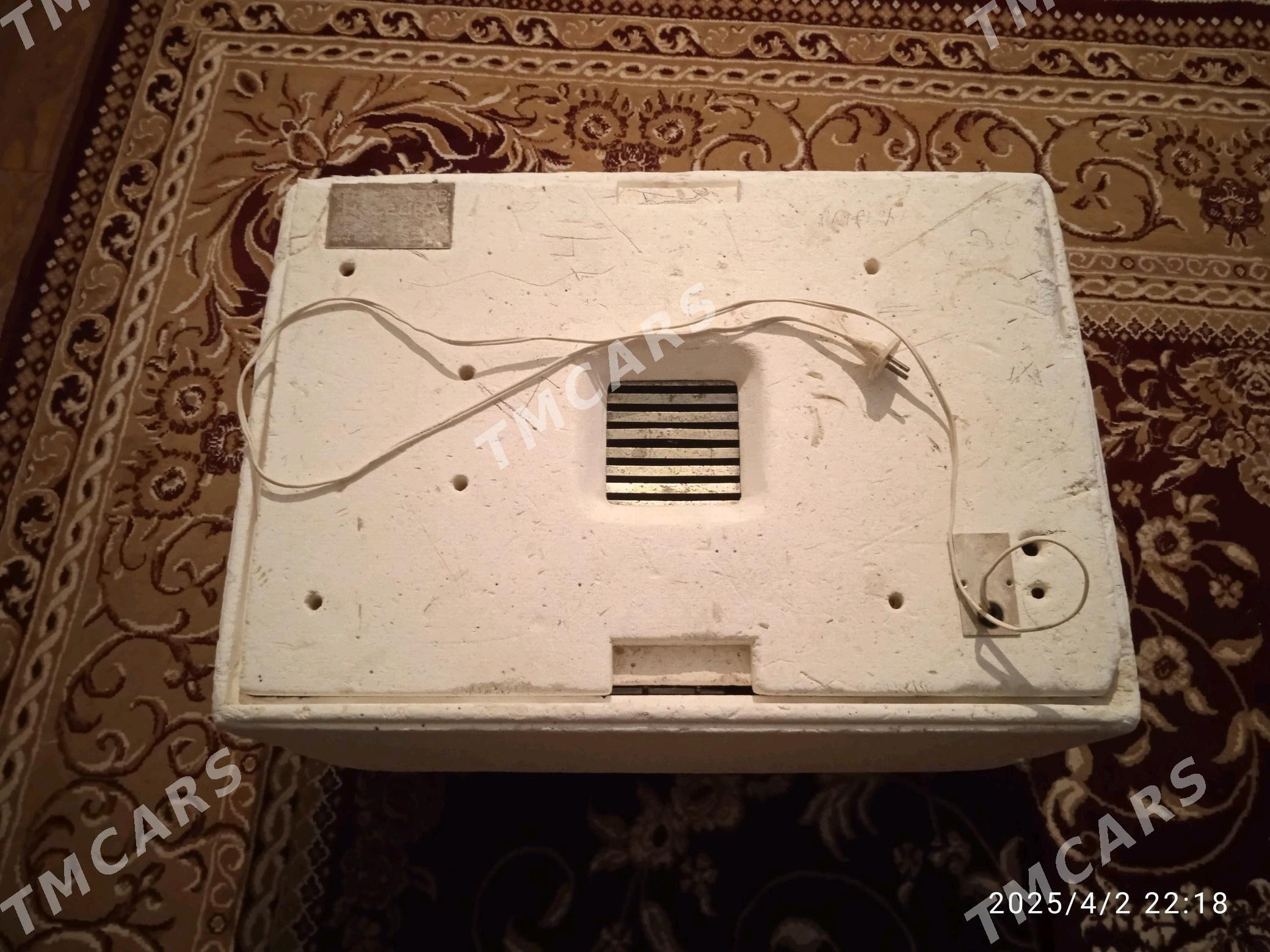 inkubator - Gyzylarbat - img 4