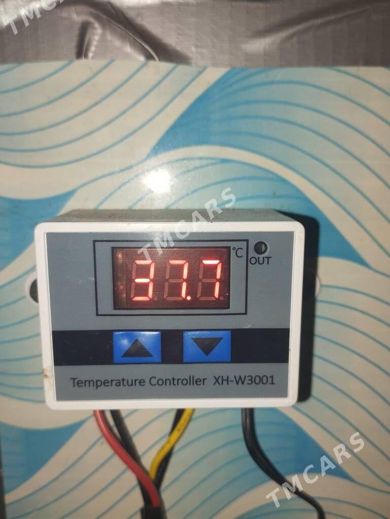 INKUBATOR ИНКУБАТОР - Балканабат - img 4