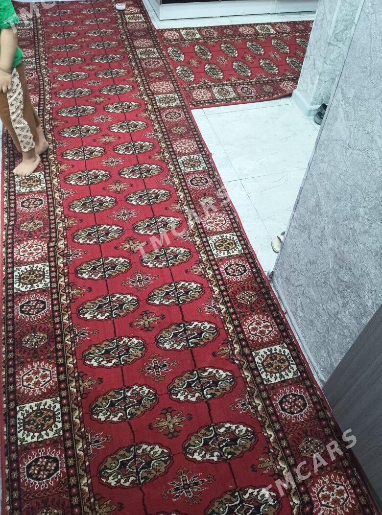 Haly kalidora turkmeninki - Ким район - img 2