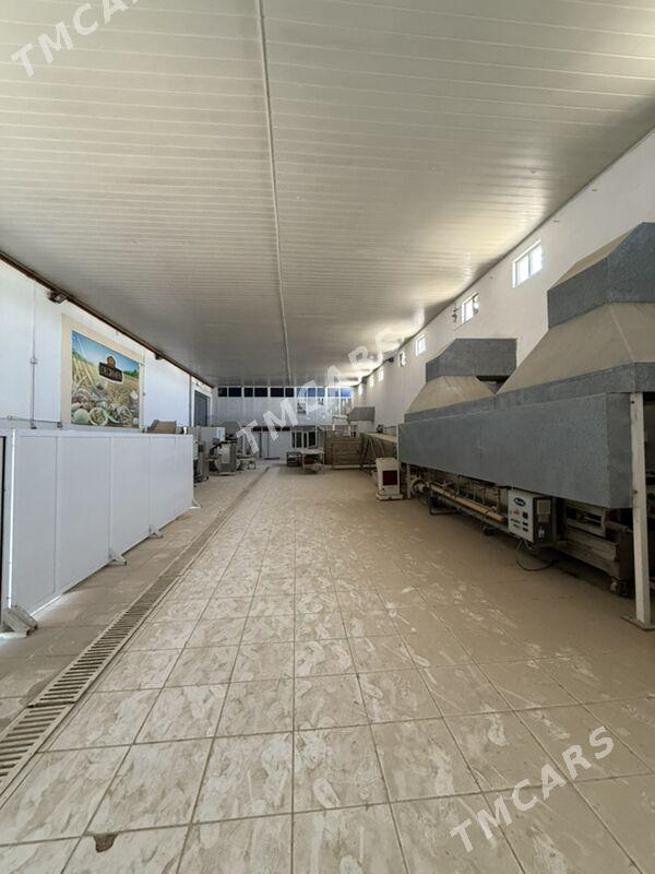 1gektar onumcilik yer - Aşgabat - img 4