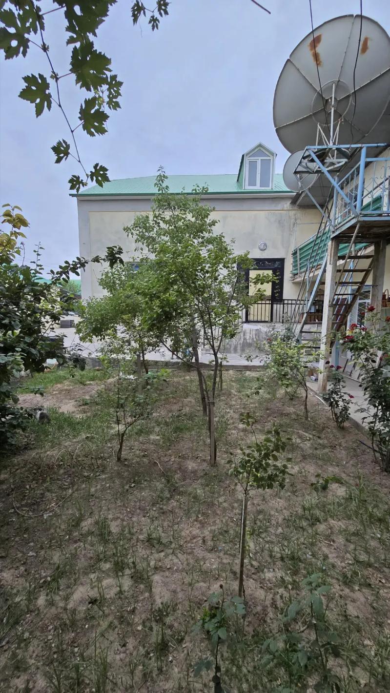 Anew - Анев - img 9
