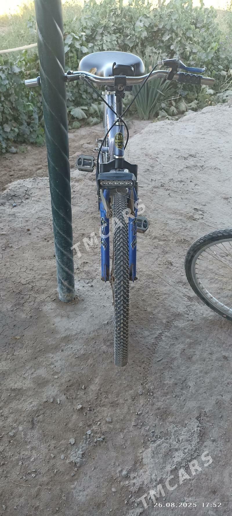 Dubayiski welik  iki sany ba - Şabat etr. - img 10