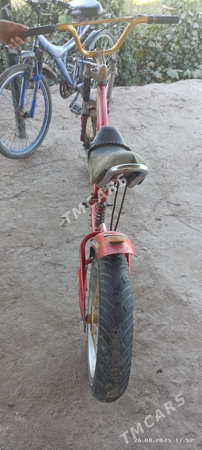 Dubayiski welik  iki sany ba - Şabat etr. - img 2