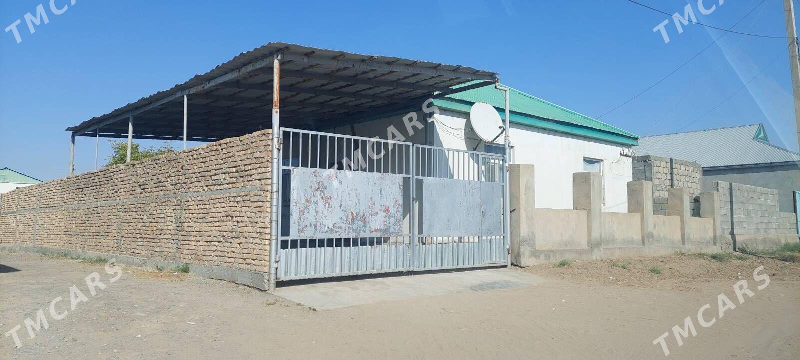 Ãnew daça - Änew - img 2