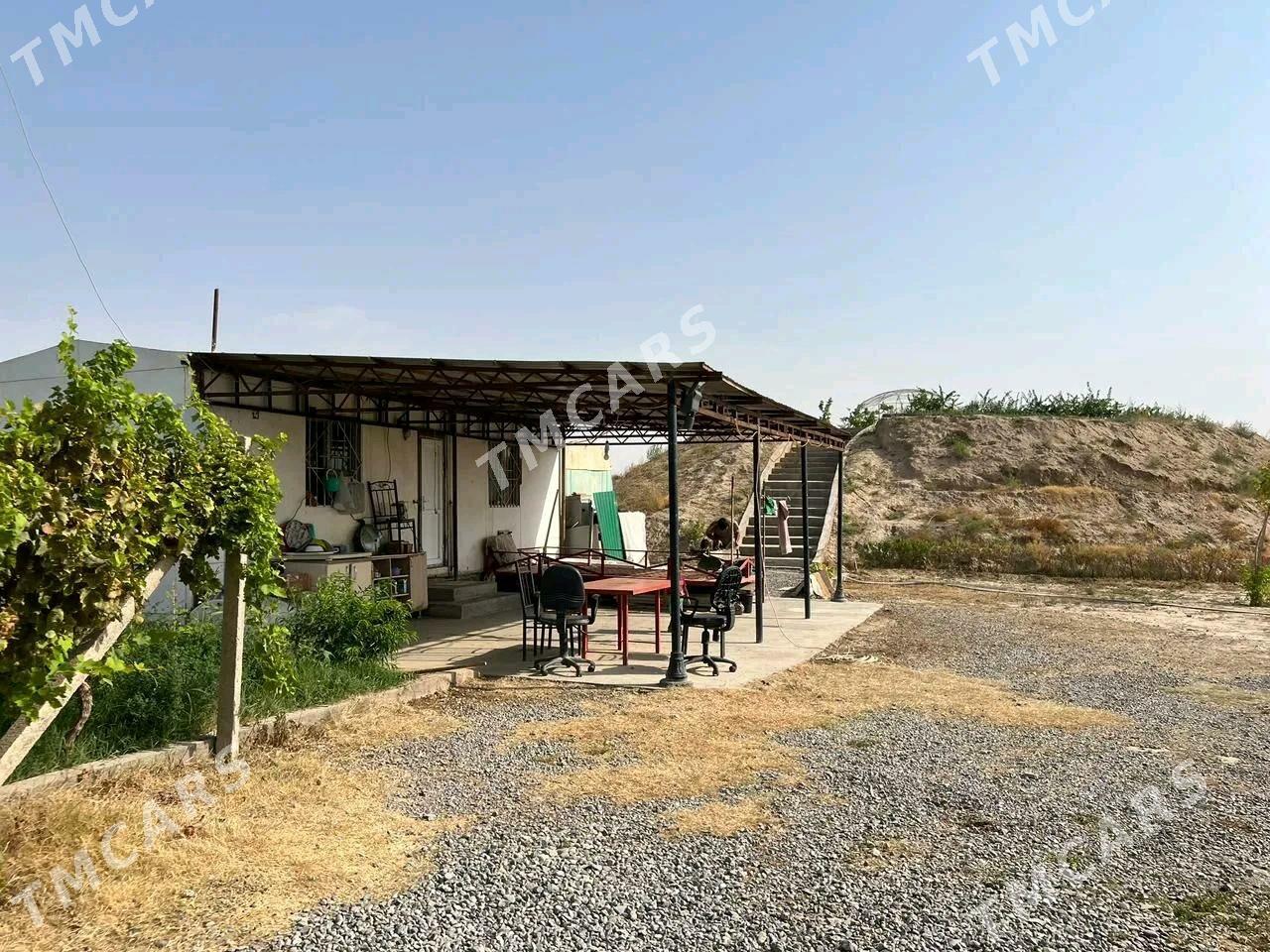 Satlyk yer - Aşgabat - img 10