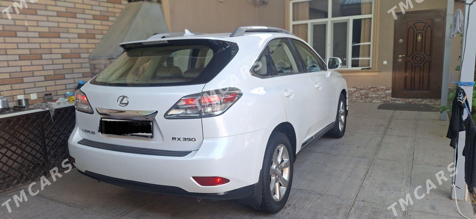 Lexus RX 350 2010 - 330 000 TMT - Дашогуз - img 4