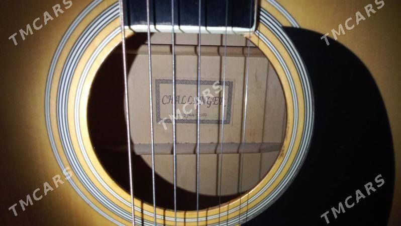 gitara - Дашогуз - img 4