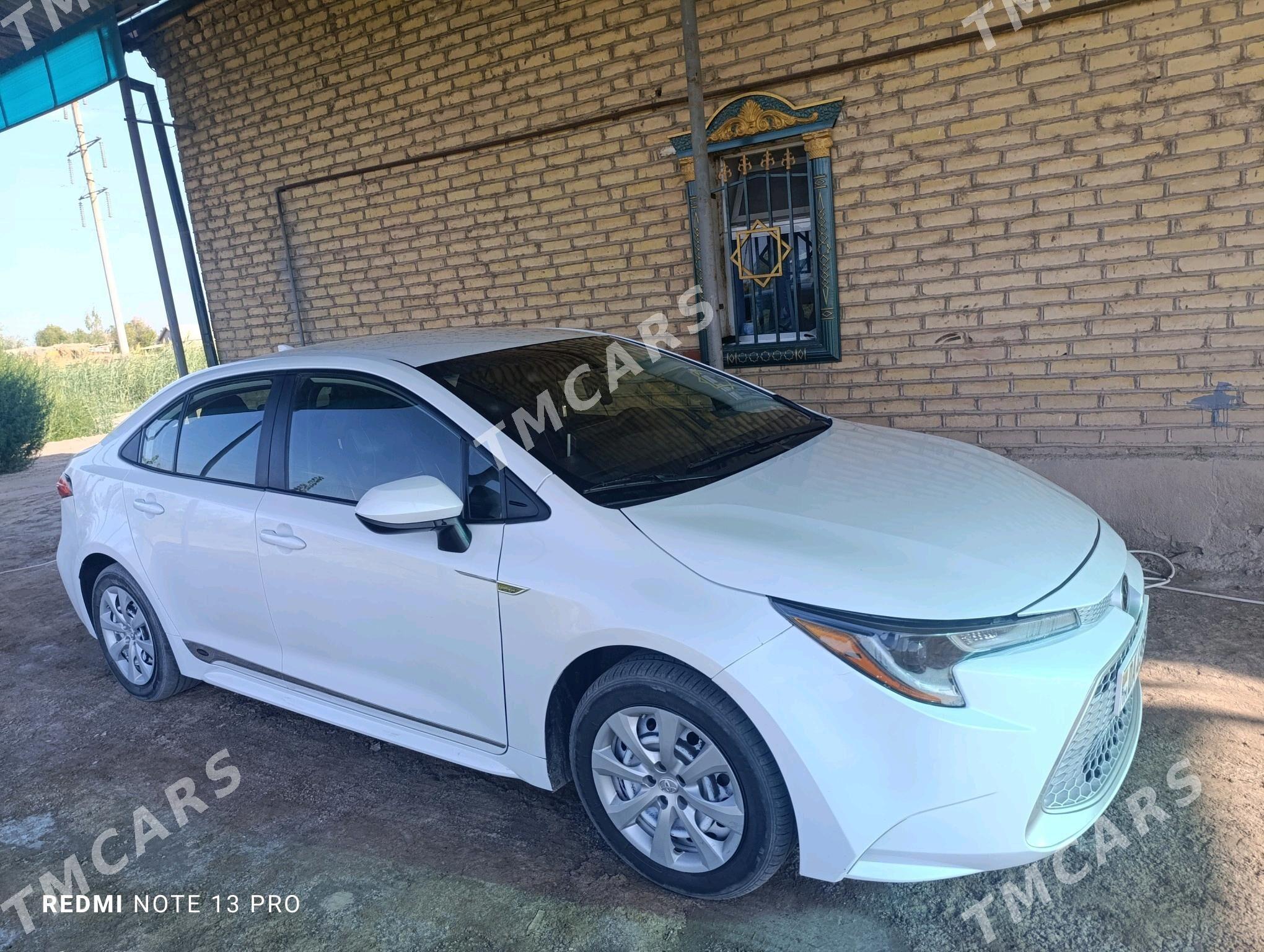 Toyota Corolla 2020 - 260 000 TMT - Daşoguz - img 3